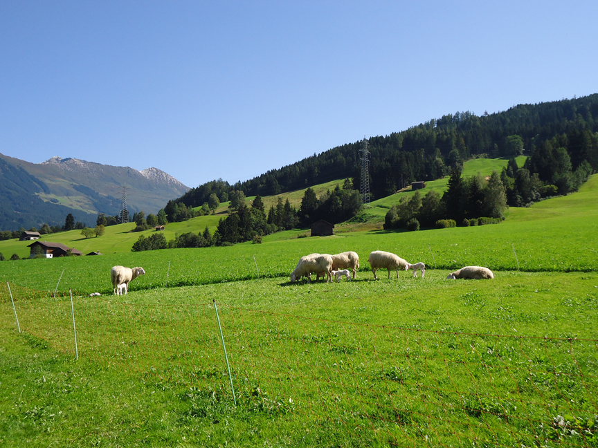 Weerberg in Tirol